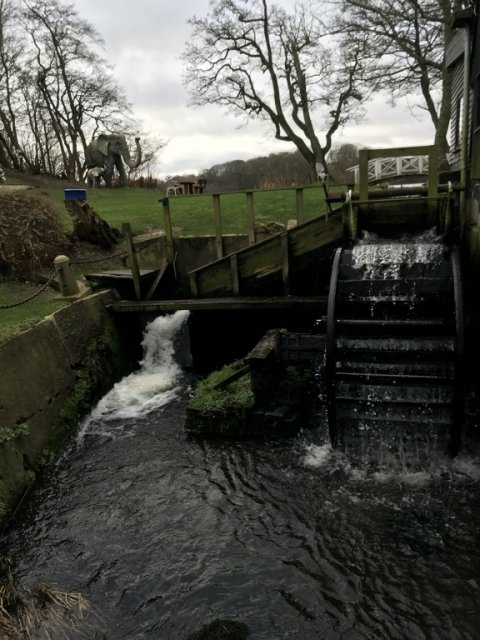 Borbjerg Møllesø gedde fiskeri flue Vision Grand Daddy