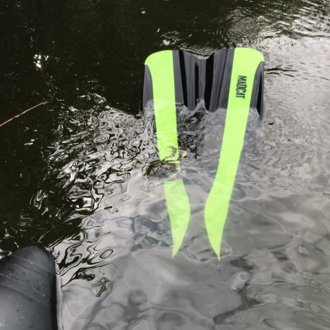 krabbe svømmefødder vonå