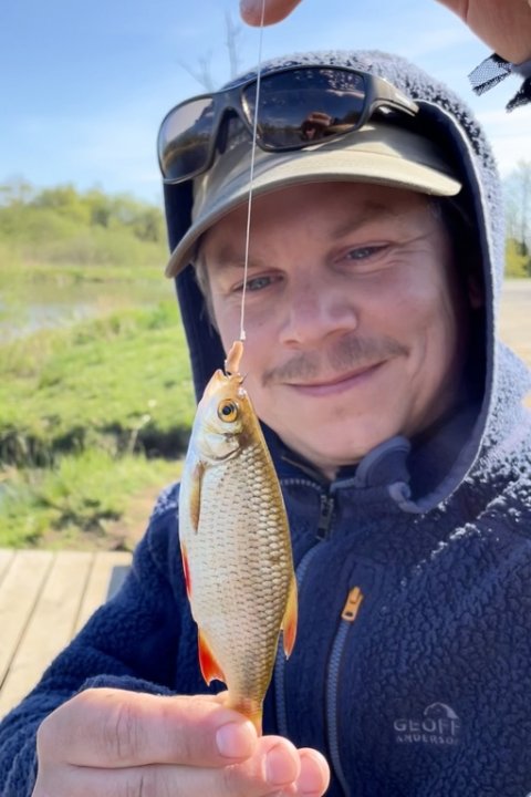 Fiskefoto.dk-redaktøren kroger også en fisk - rudskalle på orm