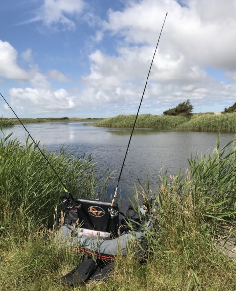 flydering vestjylland lystfiskeri bellyboat predator