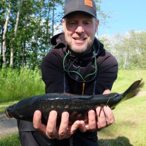 karpe medefiskeri dappefiskeri 