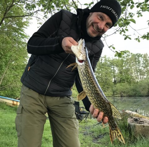 gedde fiskeri bundsnøre orm natfiskeri fiskefoto.dk