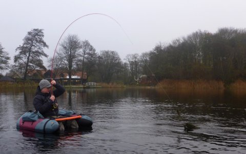 borbjerg møllesø flydering lystfiskeren.dk geddefiskeri fluefiskeri