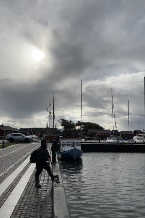 Aborrefiskeri i købstadens havn