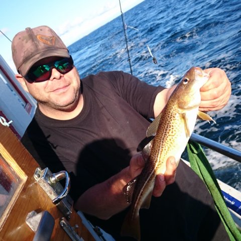 torsk fiskeri langelandsbæltet felix