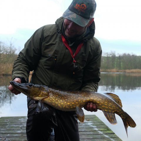 gedde pike hecht fiskeri mose agnfisk