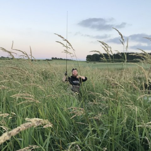 hover å naturens rige lystfiskeri bækørred ørred