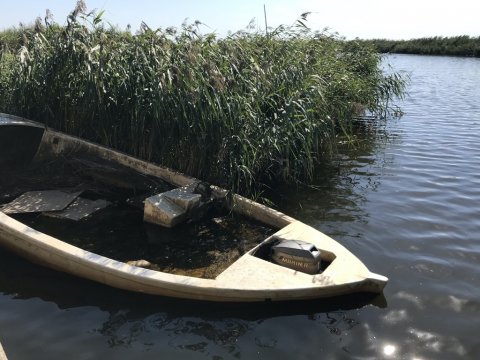 aborre fiskeri vonå Vestjylland perch bars texasrig