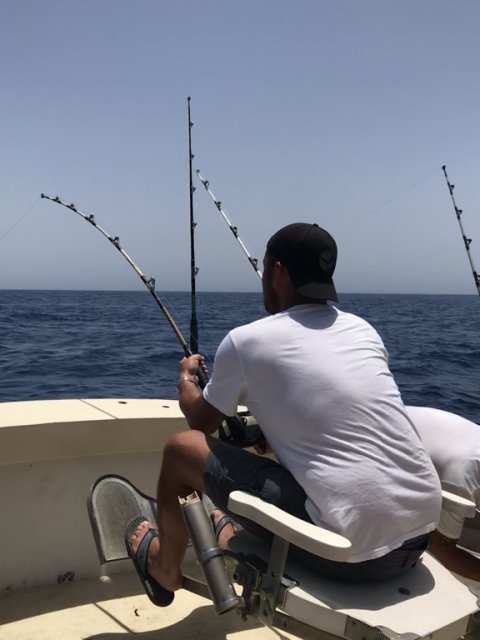 Trolling på vej hjem - og hug!