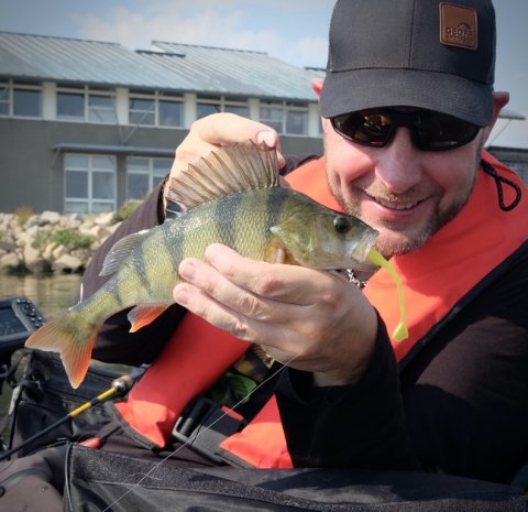 aborre fiskeri ringkøbing havn flydering