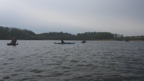 badassbaiters kajak fiskeri gedde premiere flydering