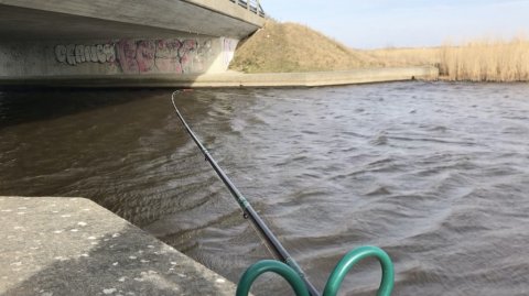 quivertip leeda aborre hork vonå vestjylland fiskeri