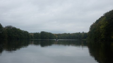 Skovsøen i Østjylland