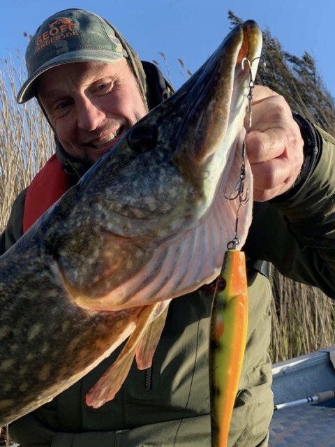 gedde hecht pike 100+ pigshad spinnefiskeri jolle Westcoast Sportfishing 