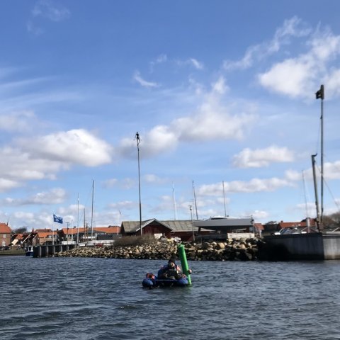 flydering aborrefiskeri ringkøbing havn