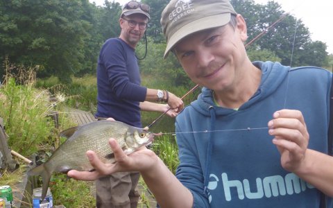 brasen fiskefoto.dk lystfiskeri medefiskeri