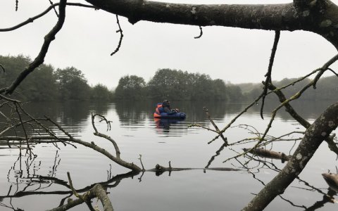skov sø fiskeri flydering rovfisk