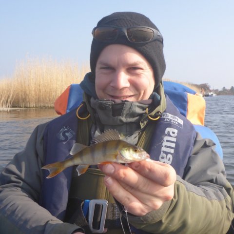 aborre stauning havn flydering