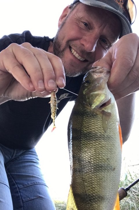 Pausefiskeren med aborre på jig