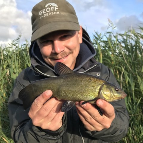 suder tinca tinca fiskefoto.dk