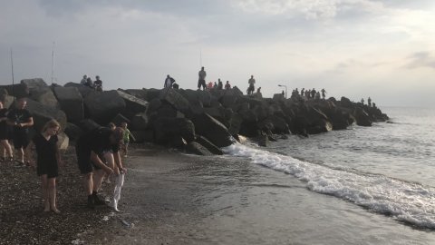 lystfiskeri thorsminde makrel