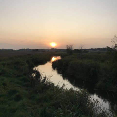 hover å bækørred fiskeri vestjylland