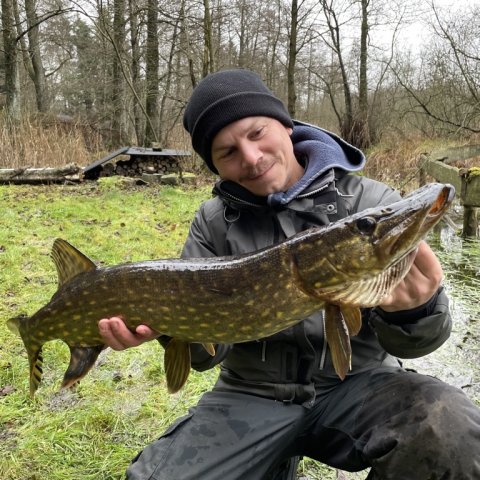 Portræt af gedde - og den unge Hr. Strube