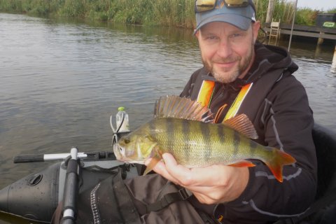 portræt af Pausefiskeren og aborre ved vonåen