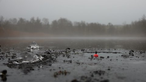 isfiskeri mose gedder