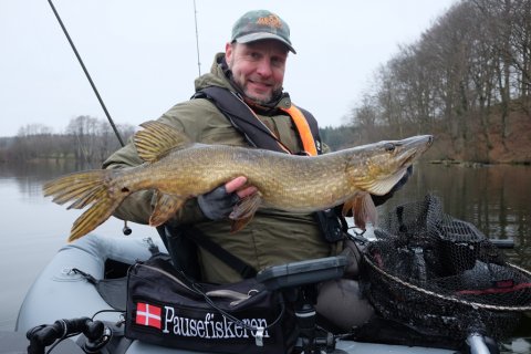 Pausefiskeren med gedde fanget under aborrefiskeri - dropshot med High5 Craw