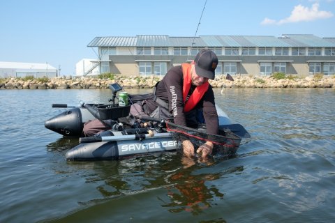 ringkøbing havn aborre fiskeri flydering
