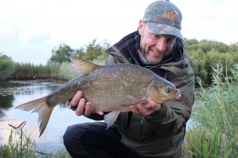 brasen Abramis brama - majs og flåd