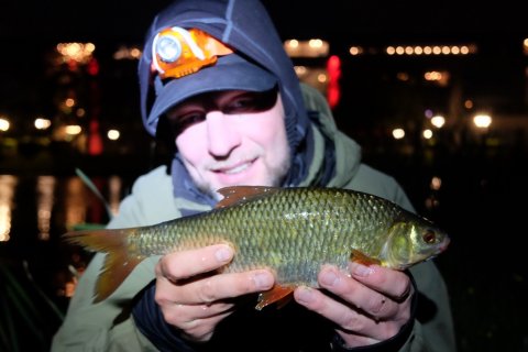 natfiskeri majs pausefiskeren pandelampe