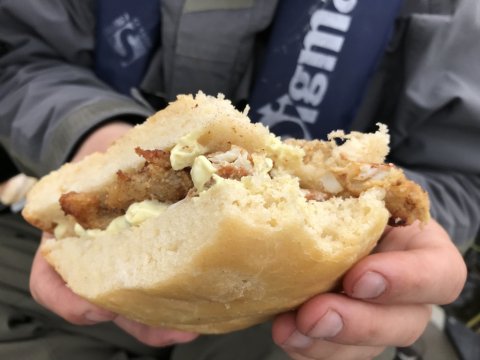 hobie kajak lystfiskeri forplejning vestjylland