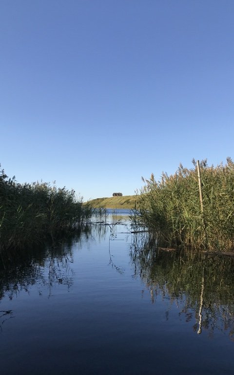 ringkøbing fjord aborrefiskeri nymindegab vestjylland