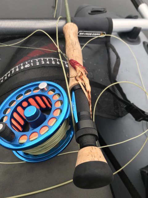 vision big daddy fluefiskeri flydering gedde pike hecht