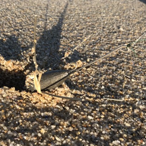 MMM cape town fishing adventures false bay