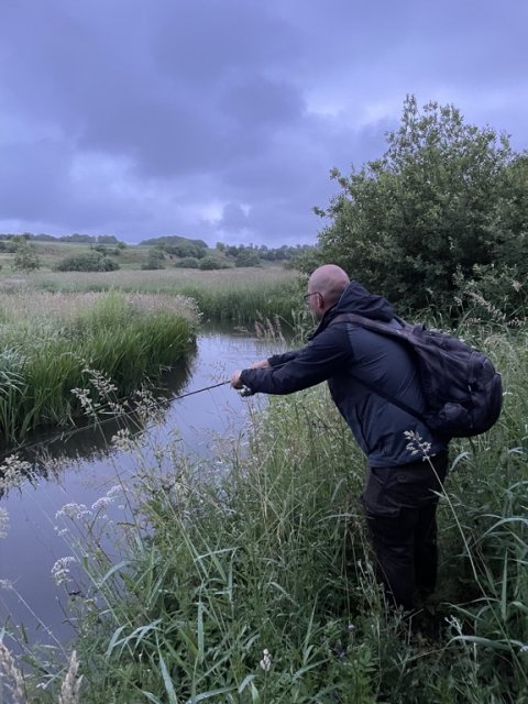 Flere ringende fisk i svinget kalder på flere kast med spinneren