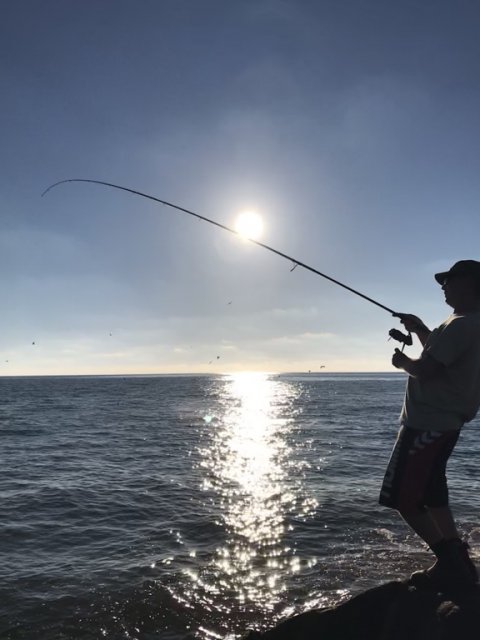 FiskeFoto.dk in action - makrelfight!