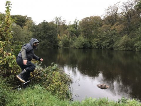 skovsø aborre fiskeri livebait