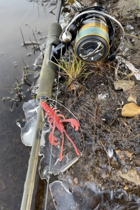 Dropshot-rig med High5Lures nye Craw - med rejesmag