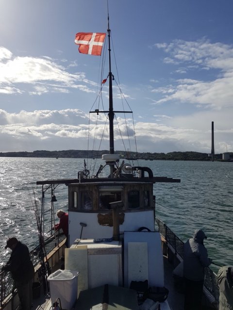 Åbenrå fjord Aabenraa fladfisk kutter rødspætte mik p