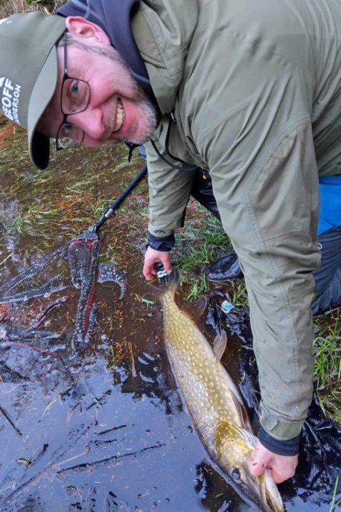 Catch and release - mose-gedden får sin frihed