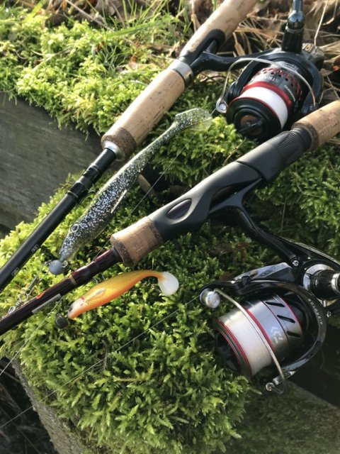 fiskeri Vestjylland pig shad jr. strike pro westin shadteez aborre gedde