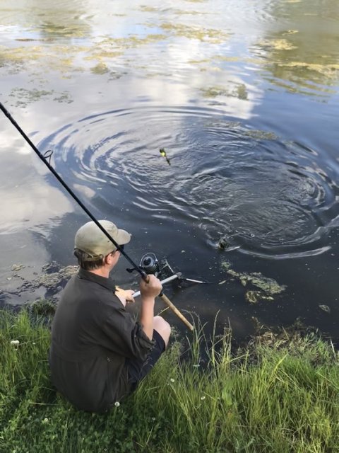 Kasper strube fiskefoto.dk fangst net spejlkarpe