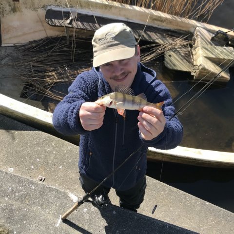 aborre fiskeri ringkøbing vonå kasper fiskefoto.dk