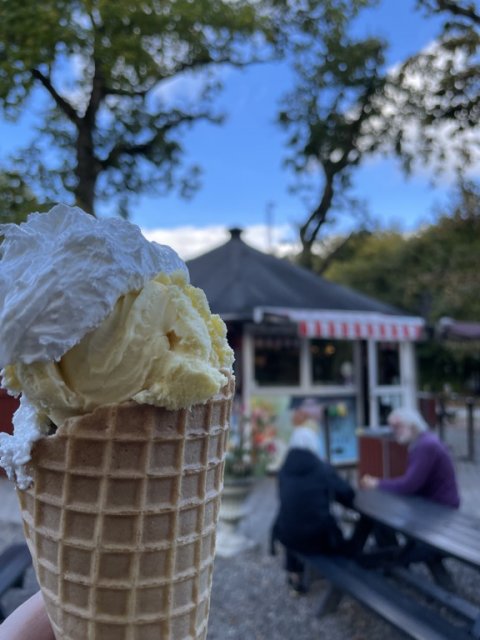 Gammeldags vaffelis som belønning