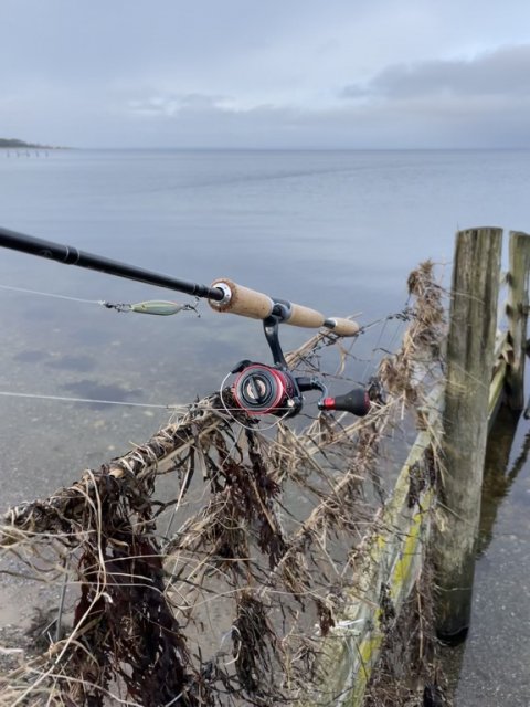 Shimano Speedmaster plus Shimano Stradic CI4 ved kystfiskeri