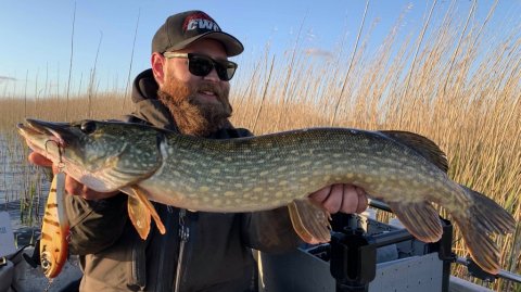 Westcoast Sportfishing gedde hecht pike buster jerk cwc strike pro