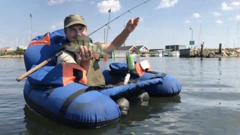 aborre fiskeri ringkøbing havn flydering